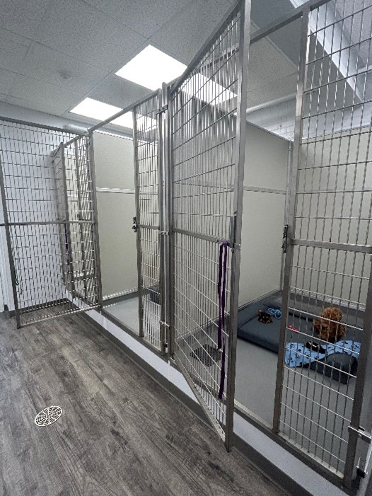 Dog kennel photo